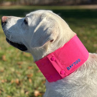 Arctic Bay Cooling Collar