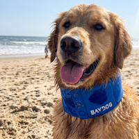 Arctic Bay Cooling Collar