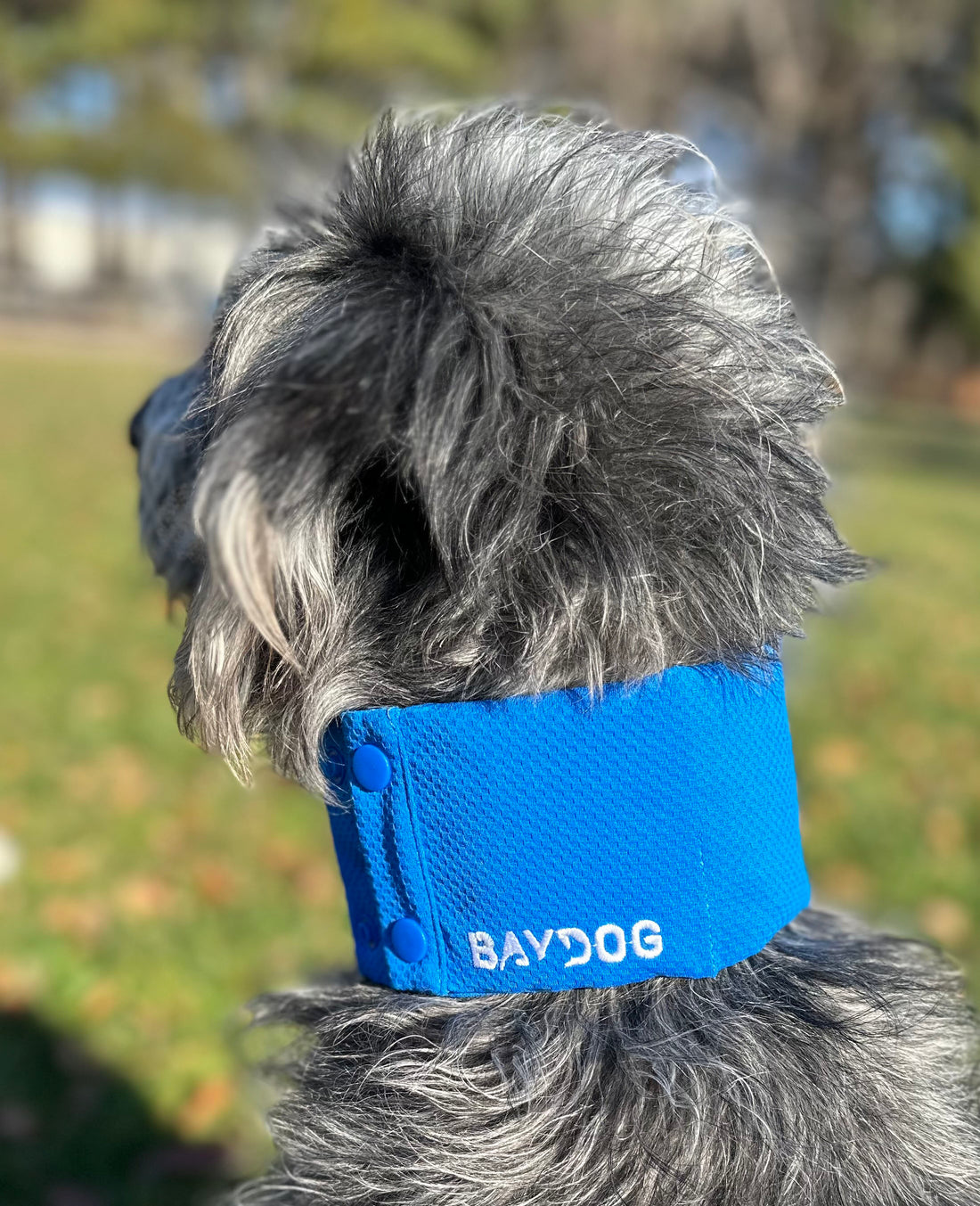 Arctic Bay Cooling Collar