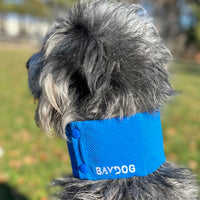 Arctic Bay Cooling Collar