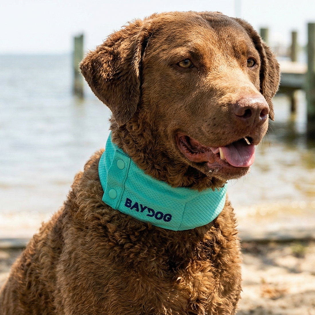 Arctic Bay Cooling Collar