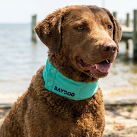 Arctic Bay Cooling Collar