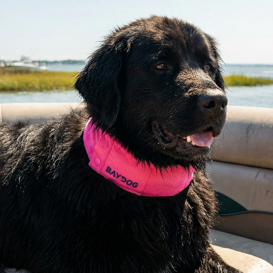 Arctic Bay Cooling Collar