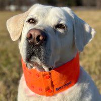Arctic Bay Cooling Collar