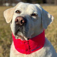 Arctic Bay Cooling Collar