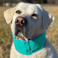 Arctic Bay Cooling Collar