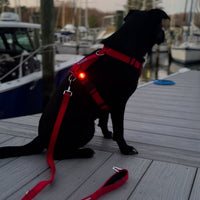 Firefly LED Safety Light